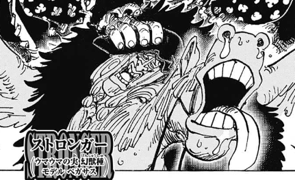 黒ひげ海賊団悪魔の実能力の名前一覧を最新ネタバレ シクシクの実 ワプワプの実 リキリキの実 ウマウマの実 スケスケの実 イヌイヌの実 ワンピース考察 アニシラ