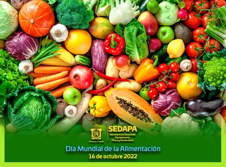 SEFADER_GobOax's tweet photo. En el #DíaMundialDeLaAlimentación, resaltamos el trabajo las y los productores agropecuarios y acuícolas que responden a las necesidades de la sociedad y garantizan la alimentación. Hagamos conciencia de las formas de consumo para conservar los sistemas agroalimentarios. https://t.co/1XrovfzlWg