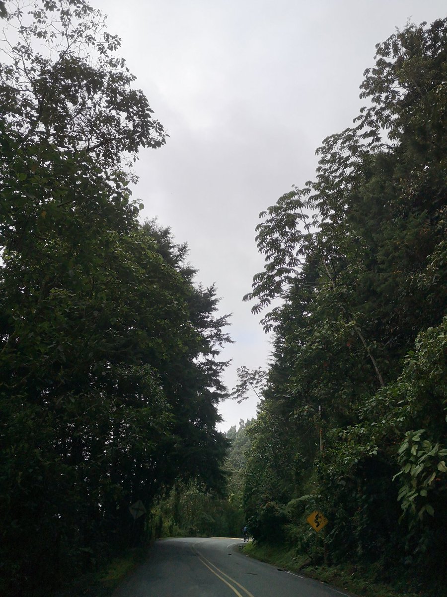 suerte061090's tweet photo. Vias del oriente antioqueño 🍃🏞️

#roadTrip #SundayMorning #foogy #antioquia https://t.co/kRGPtaXAzC