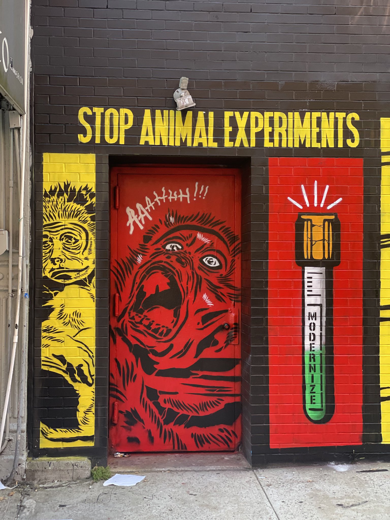 peta-on-twitter-such-a-creative-way-to-educate-people-this