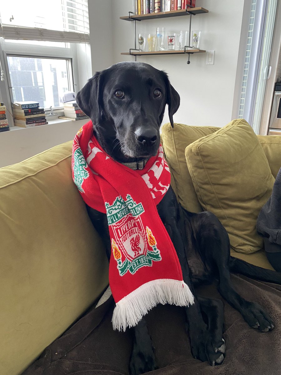 _feelups's tweet photo. Massive W for the lads #YNWA https://t.co/6itOgGsQkU