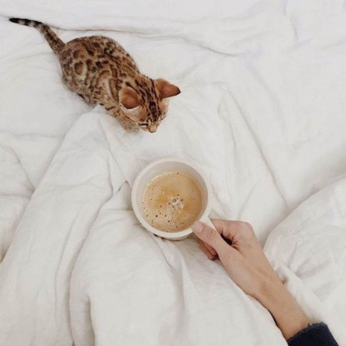 CarloAbril2's tweet photo. 🍂First cup of the day
🌞☕

📸 Unknown https://t.co/d0Km4g5iup