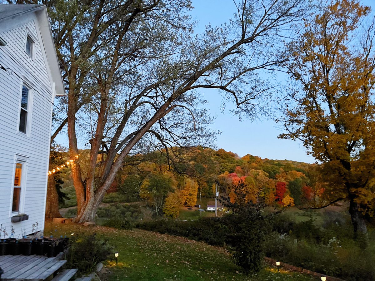 keepcreepinon's tweet photo. Had an incredible dinner at Lost Creek Farm this weekend — thanks again to Mike and Amy and the staff for sharing your magical food and atmosphere 🍂🍴@costellowv https://t.co/FgvjrHTSjY