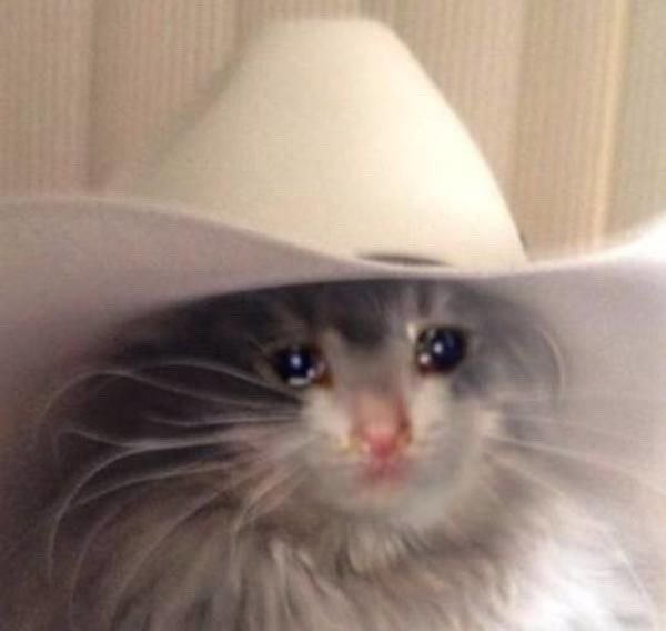 abstractcas's tweet image. he made him watch tombstone and then they dressed up as cowboys