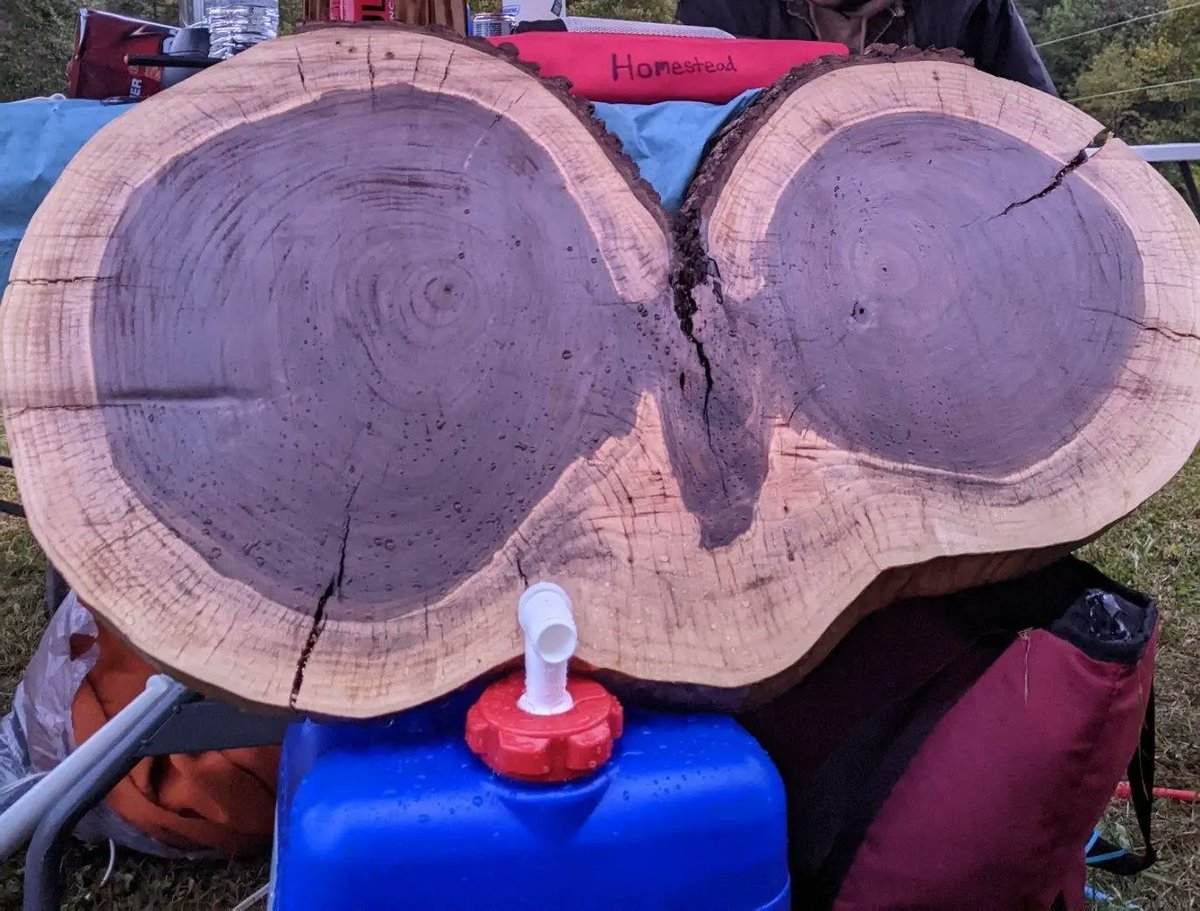 homesteadfesty's tweet photo. Thank you Homesteaders for an amazing Homestead Music Festival 2022! Thanks for braving the storm with us and getting down for all of these awesome performances! Hold on to your owls because we've already got the fires cooking for a rad Homestead Music Festival 2023 
🤘🦉🤘 https://t.co/4Axm0NlKcO