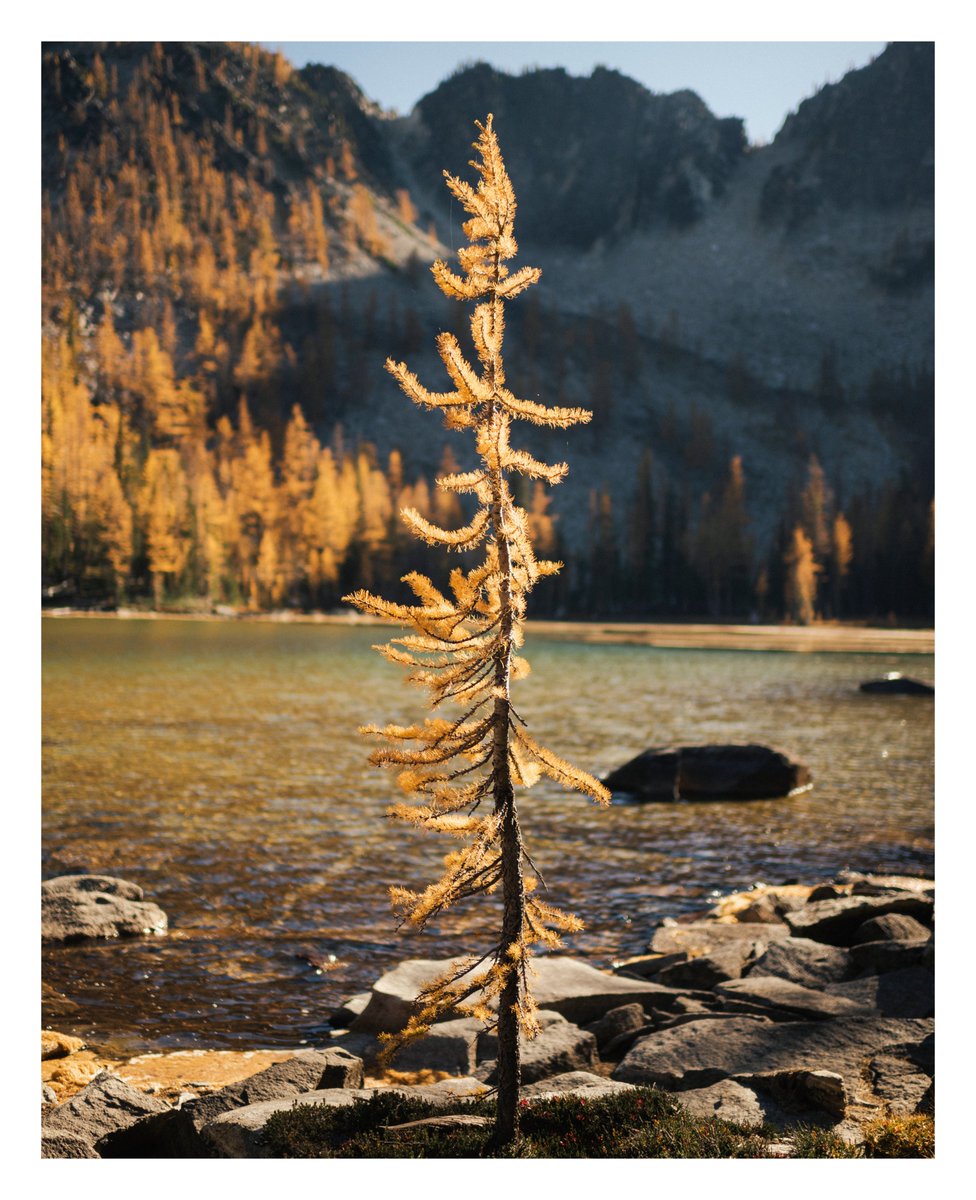 katiejmcgregorr's tweet photo. Larch March https://t.co/hNKd7kQ5eu
