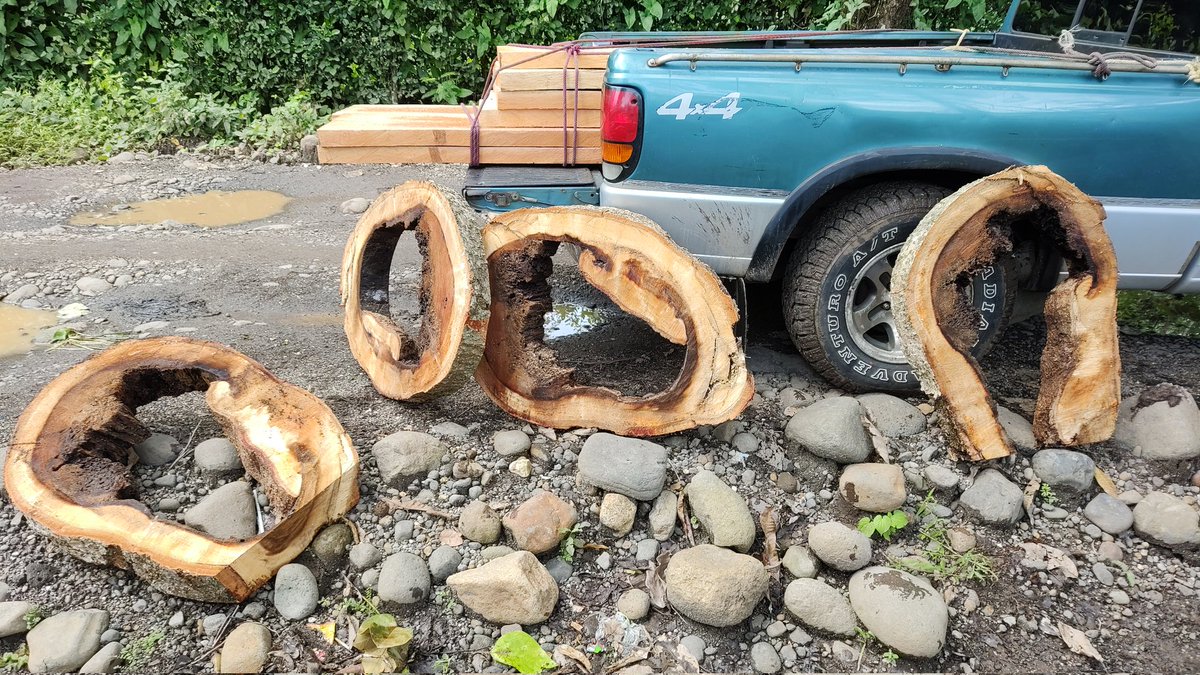 JuanPegre's tweet photo. Trabajando ando 🎶🎵 #Caoba #Conacaste #Madera https://t.co/pDKZnMULxH