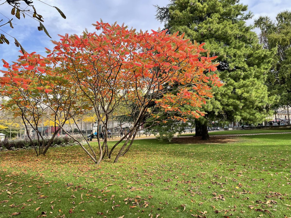 KimberKGTTU's tweet photo. First day in Paris was beautiful as expected, especially our stroll through Luxembourg Gardens! https://t.co/olxrDMFTw5