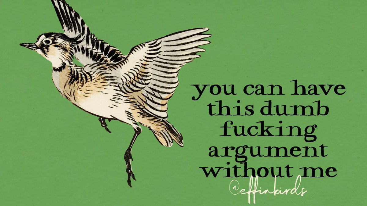 EffinBirds's tweet photo. https://t.co/7xYliaftva