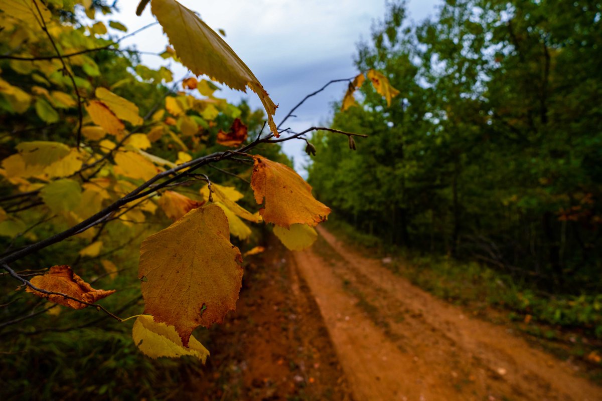 AkdagmadeniBld's tweet photo. Sonbahar tüm hemşehrilerimize mutluluk getirsin🍁🍂
Akdağmadeni'nde Sonbahar...
#Akdağmadeni
#NezihYALÇIN
#Sonbahar @GoTurkiye #GoTürkiye #OnlyInTürkiye https://t.co/n84q2EkI3e