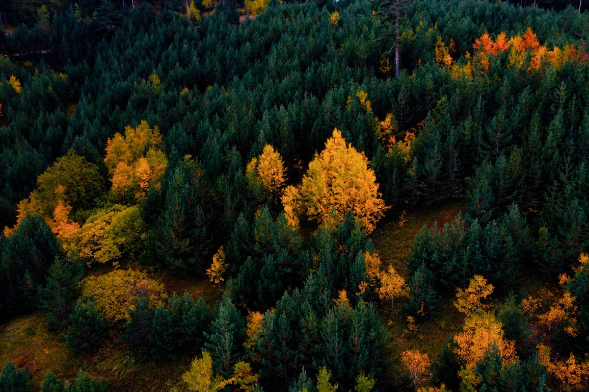 AkdagmadeniBld's tweet photo. Sonbahar tüm hemşehrilerimize mutluluk getirsin🍁🍂
Akdağmadeni'nde Sonbahar...
#Akdağmadeni
#NezihYALÇIN
#Sonbahar @GoTurkiye #GoTürkiye #OnlyInTürkiye https://t.co/n84q2EkI3e