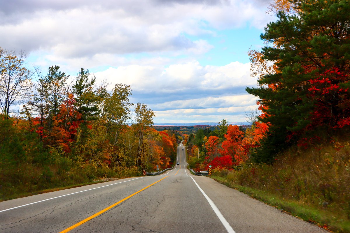 ChohlaHarman's tweet photo. Canadian fall #fall #canada #red #landscape https://t.co/iwcngJj21C