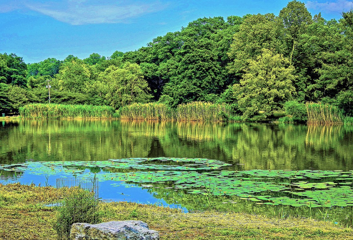 authorgal's tweet image. #gift #holidays #Christmas #decor #officedecor #photographpeople #presentideas  Give the "real", beautiful gift for the holidays.You can see many on Gurushots, or request a subject.  Various subjects available.
carolcares4u.wixsite.com/photographsfor…