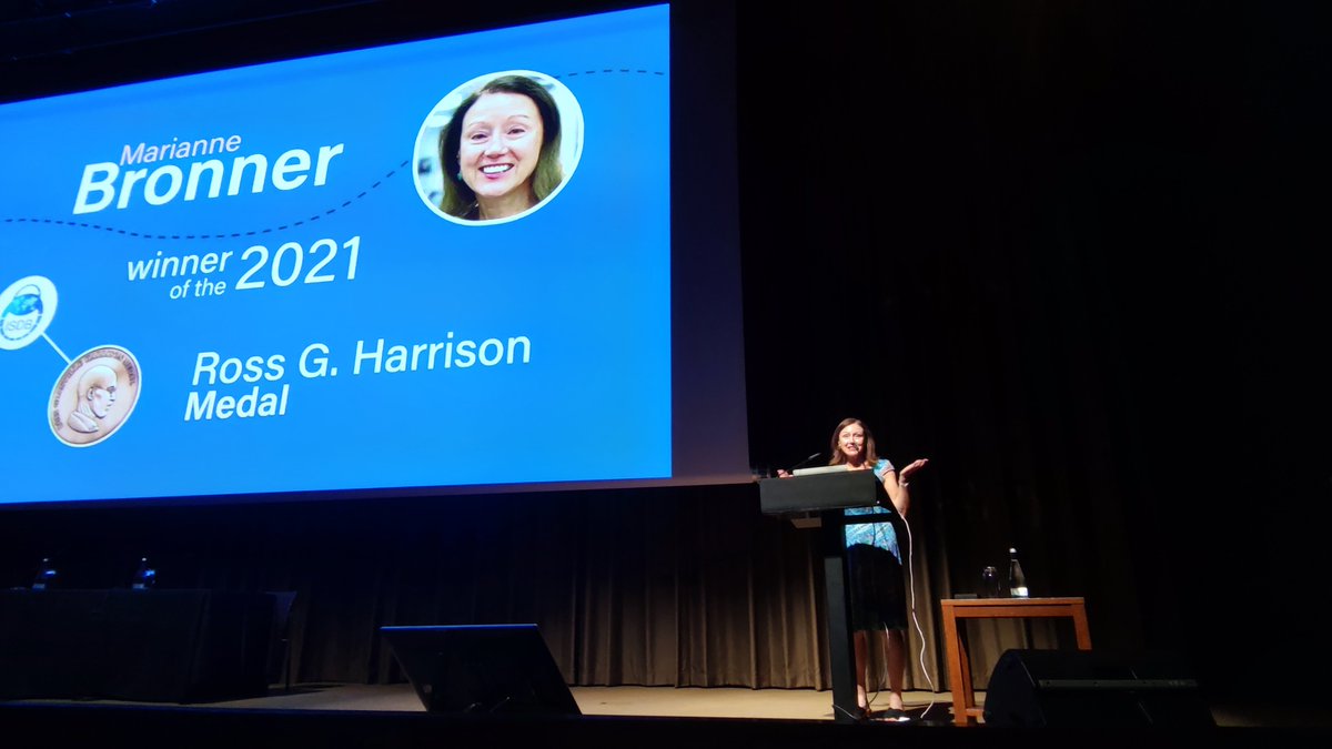 International Society of Developmental Biology tweet media