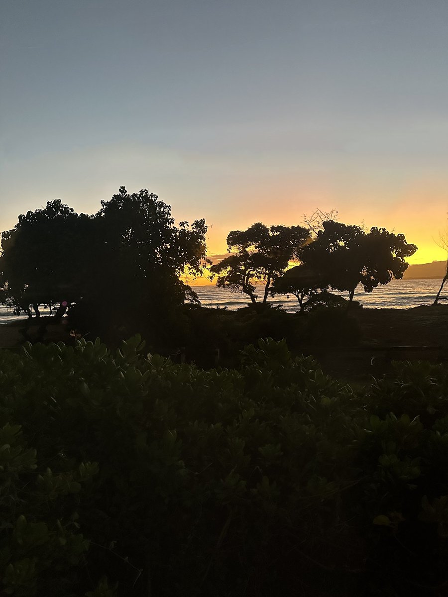 When you fall asleep at 8pm and wake up at 5am because time zones… 😍🏝️