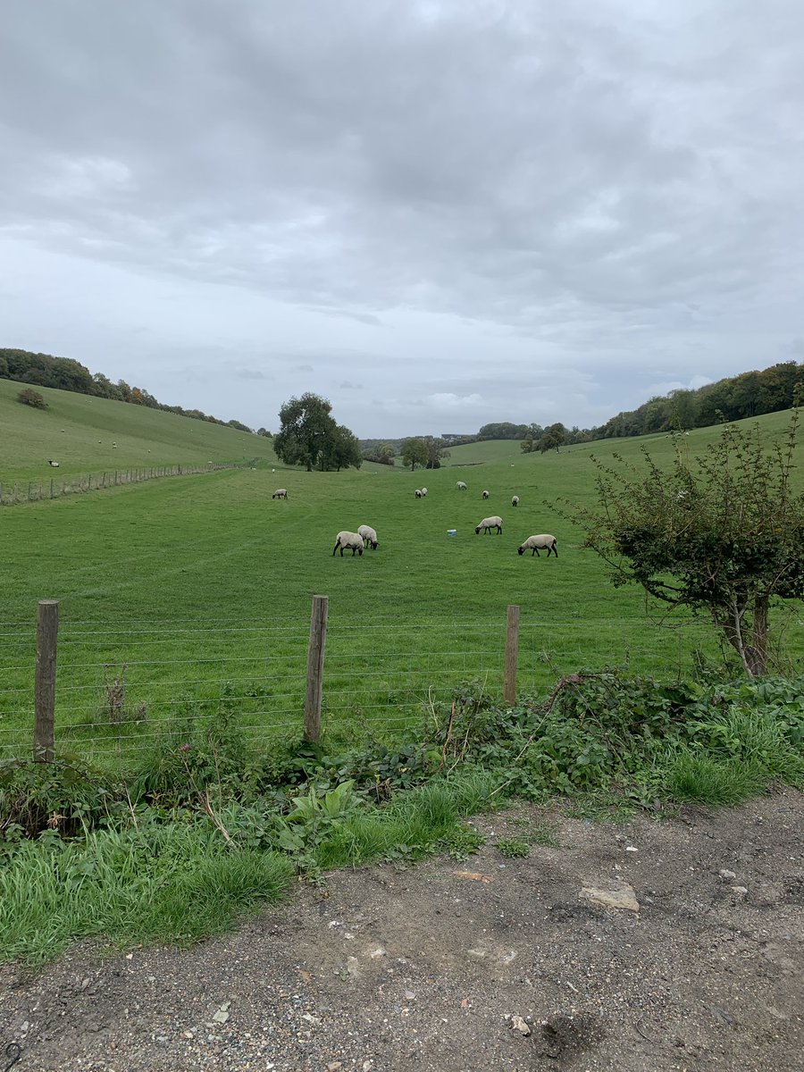 clive_kraus's tweet photo. Out on my walks on North Downs this afternoon overwhelmed by beautiful countryside. On my descent greeted by a memorial to a cyclist who regularly rode these Kent Alps. But ruined by classic fly tipping ( rubbish litter the verges is unbelievable too!) https://t.co/hmd8Cf9d0h