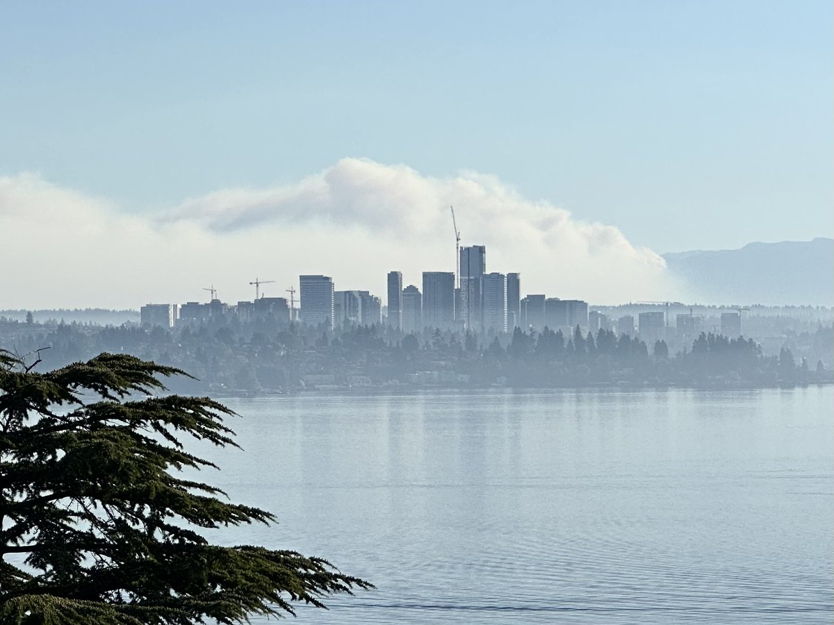 Chris Laurel tweet media