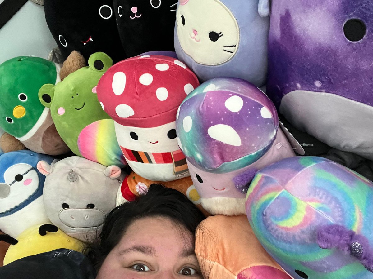 Academic_Eve's tweet photo. As a 25 year old adult pursuing a masters degree, I find a love of squishmallows really balances out my inner child https://t.co/PPvxh3AaDR