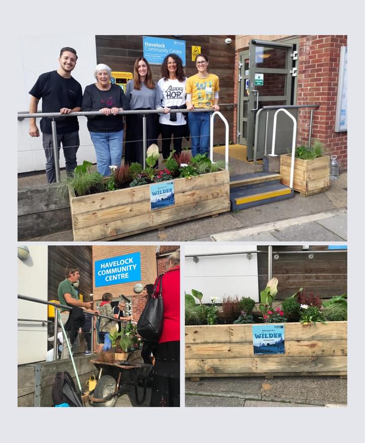 A huge thank you to Mathilde, Ainsley and everyone who came to the greening event today at Havelock. The planters are a wonderful addition to our centre. Well done to the Fawcett Road Greening Group for making our neighbourhood look so lovely x