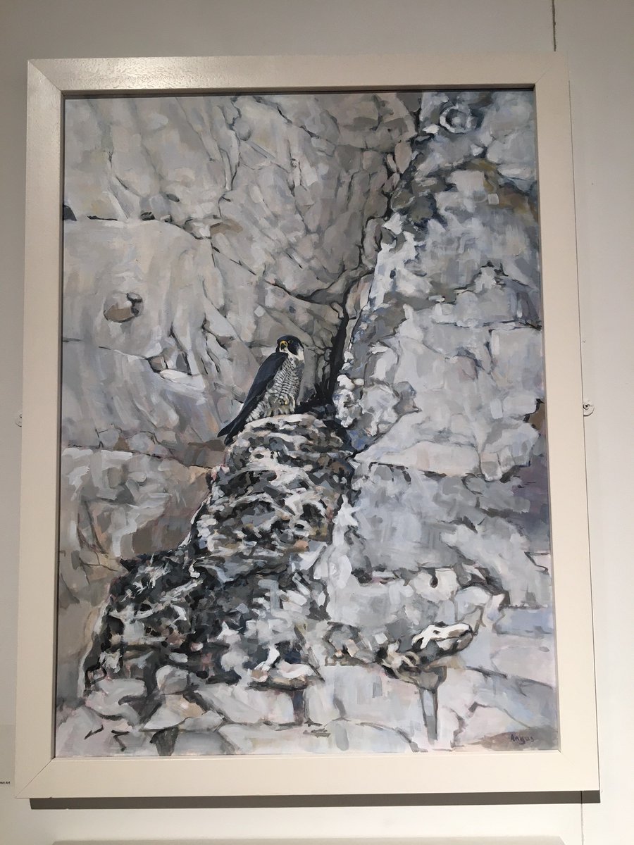 J_M_Boorman's tweet image. 1/3 Some personal highlights from a visit to @swlanaturaleye last Friday. @HarrietMead1 &apos;s newt was stunning, though it was her Water Rail I&apos;d have taken home. @maxangusmaker had some block linocut prints on display, but I wasn&apos;t expecting her lovely acrylic on canvas Peregrine.