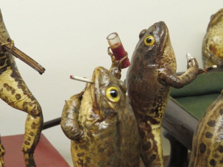 CuriosMuseum's tweet image. Exhibits from Froggyland, a taxidermy museum in Croatia. The specimens were preserved in 1910-1920.
