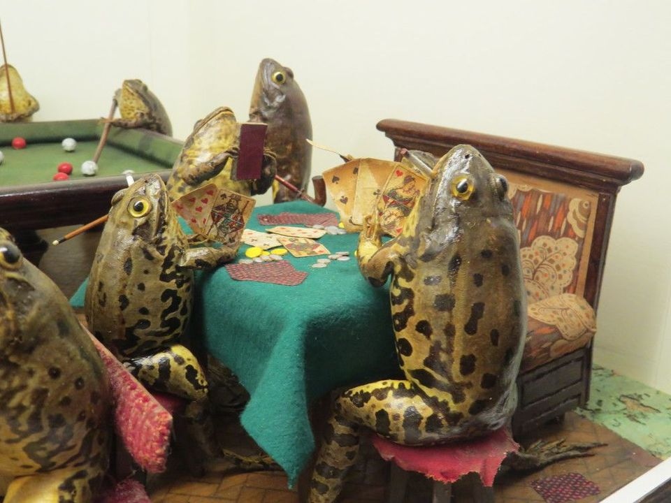 CuriosMuseum's tweet image. Exhibits from Froggyland, a taxidermy museum in Croatia. The specimens were preserved in 1910-1920.