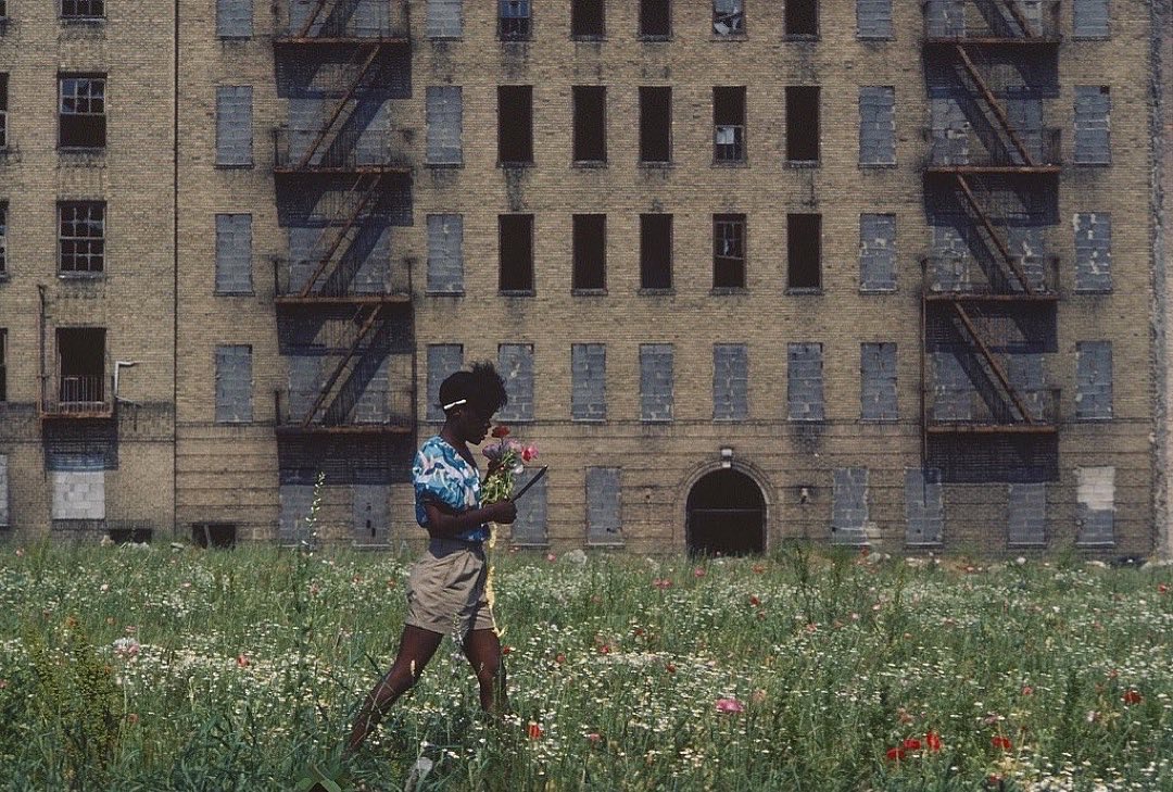 bondwooley's tweet photo. Once in while, we have to remember to gracefully persevere. 
Photo: South Bronx, 1980s. 
“Just remember: Surviving is the best revenge, no matter what the disaster has been.” – Joan Rivers

#lesterandcharle #thebronxisburning #survival #joanrivers #southbronx #1980s https://t.co/c1j0hkel8C