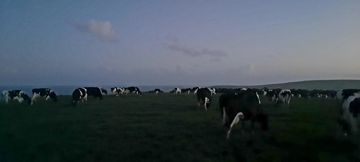 HaroldKingston1's tweet photo. #GreatDrying #GrassToMilk https://t.co/s9cQ3WJpSp