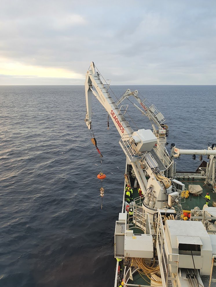 Øyvind Foss tweet media