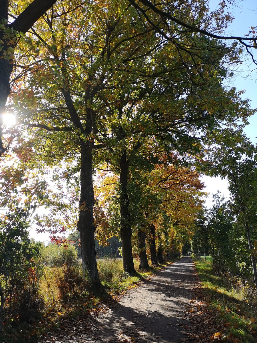 Ik ben echt een herfstmens 🧡