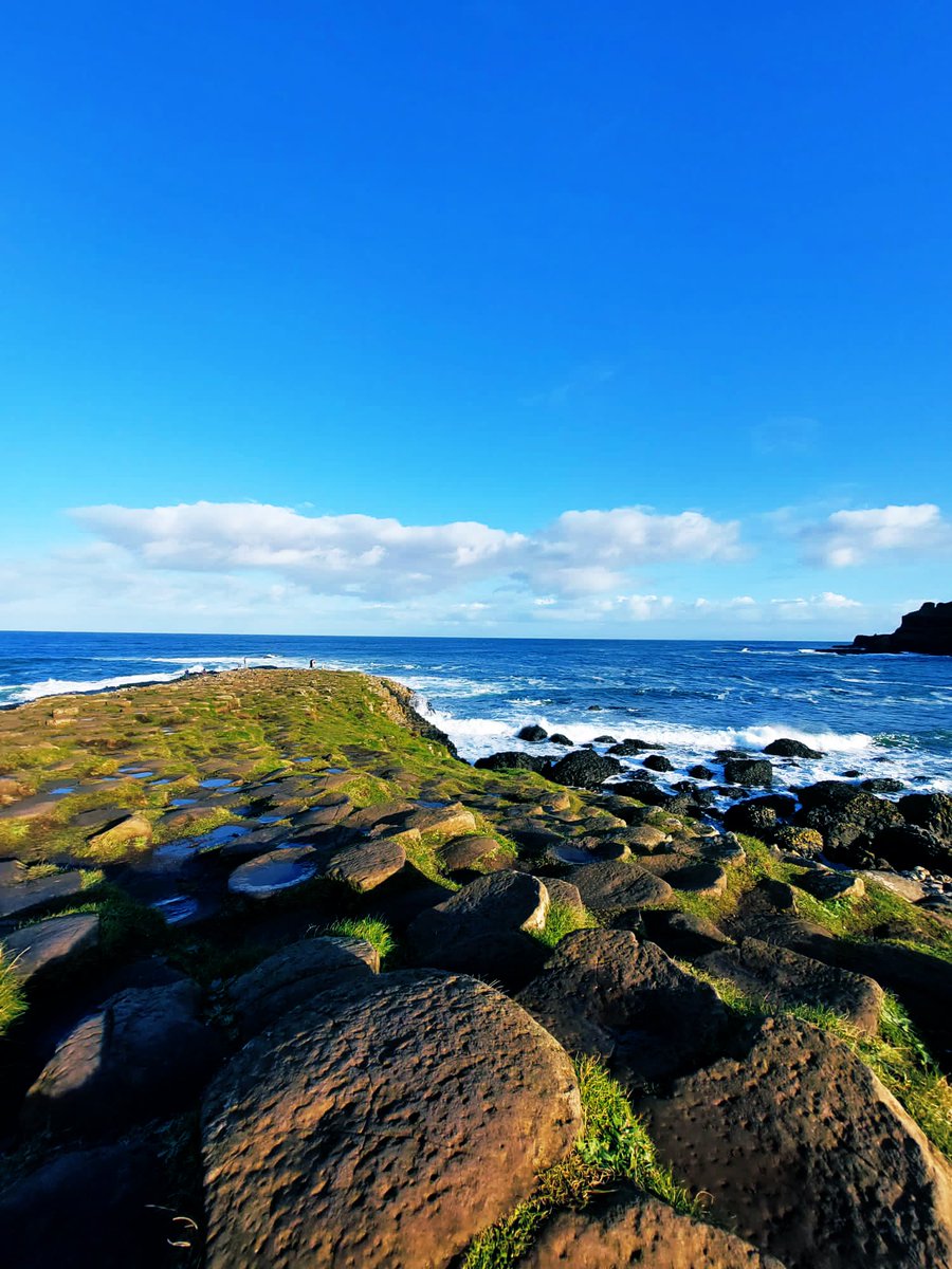 John Bizzell tweet media