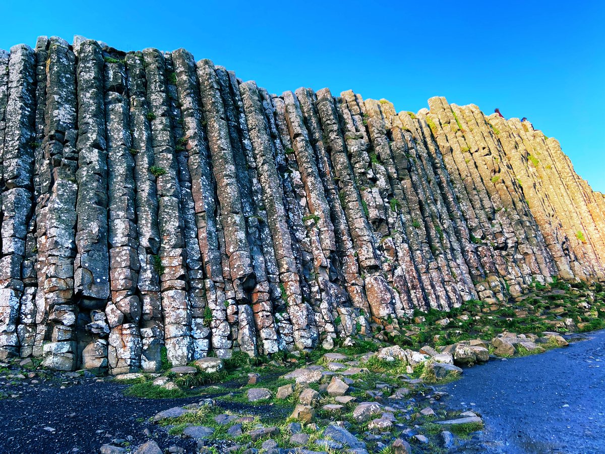 John Bizzell tweet media