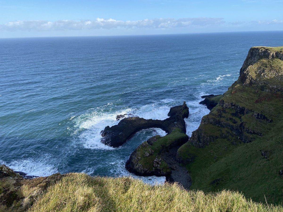 John Bizzell tweet media