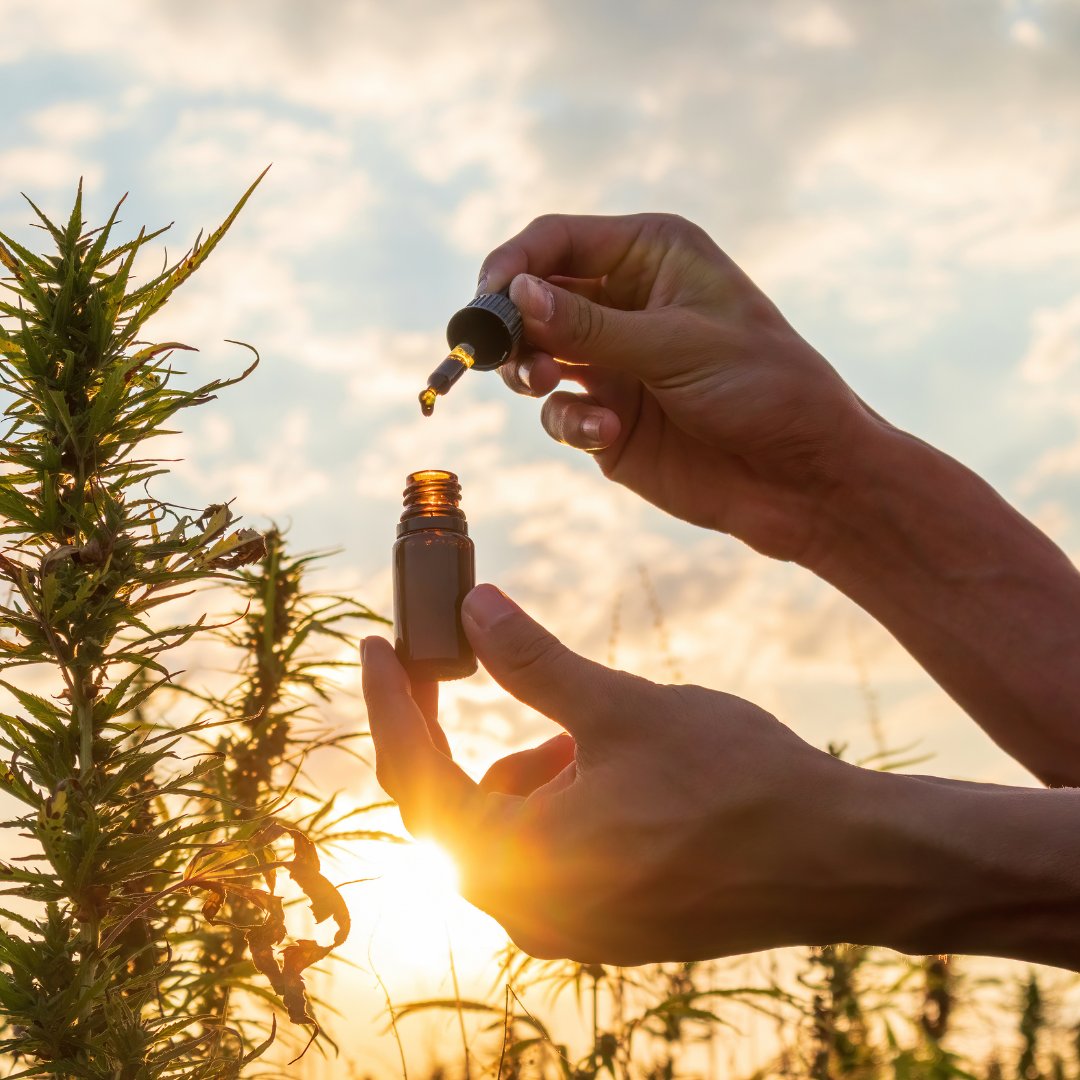 utmmj_org's tweet photo. With so many options on the market, choosing the highest quality CBD can be tricky. That's why Blake Smith from Zion Medicinal is here to walk you through everything you need to know about buying the best CBD available. 🌿 

Read the full story here: https://t.co/mDunWKYsQA https://t.co/O8wmSDkLDL