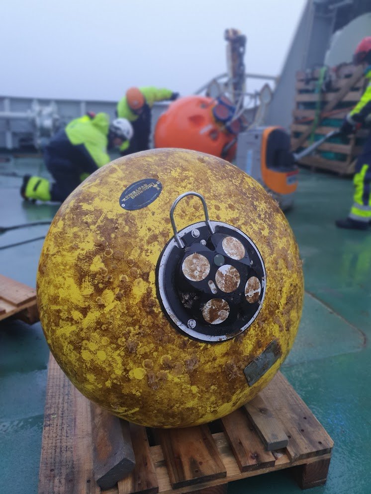 Øyvind Foss tweet media