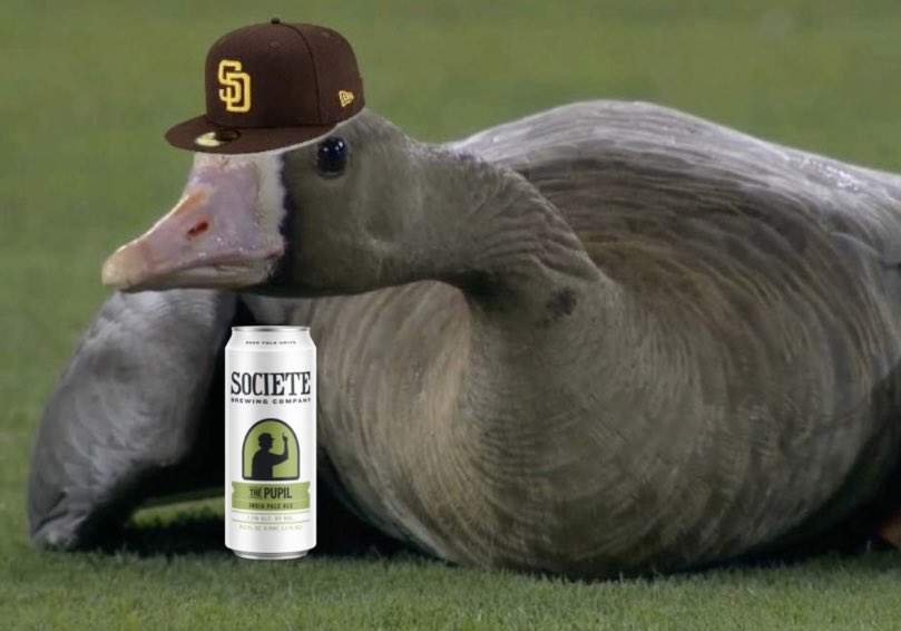 Celebratory Pupil, anyone? #GoPadres