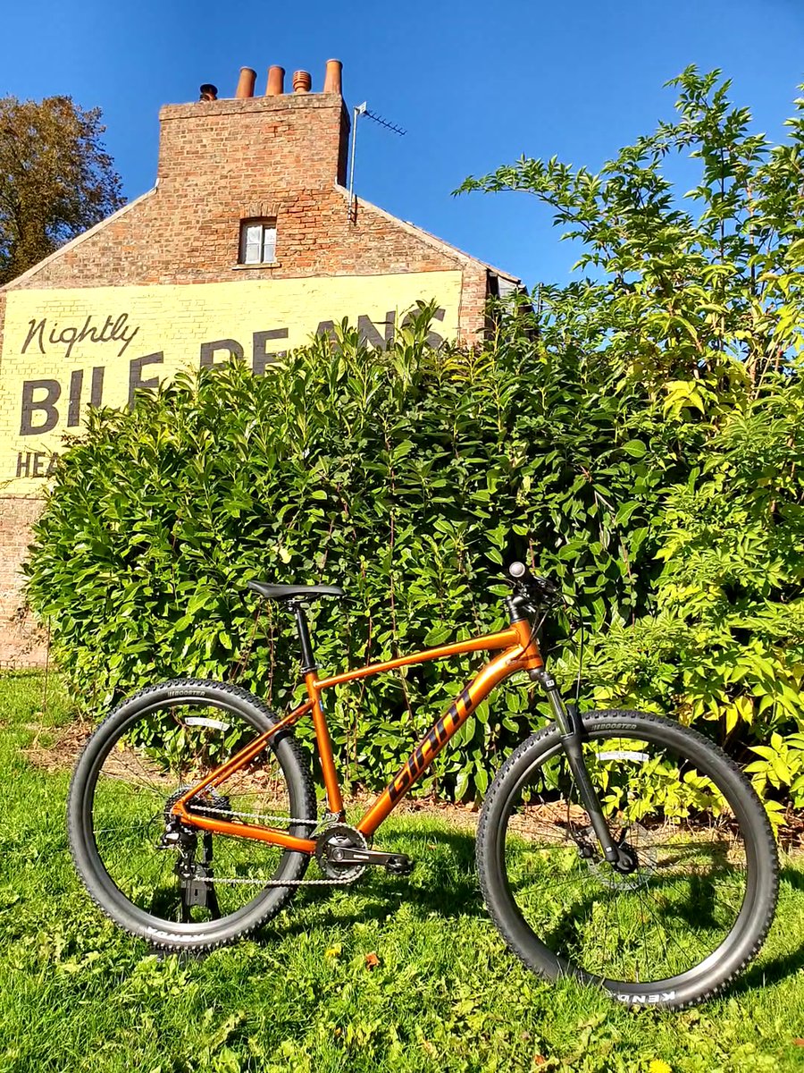 Giant York tweet media