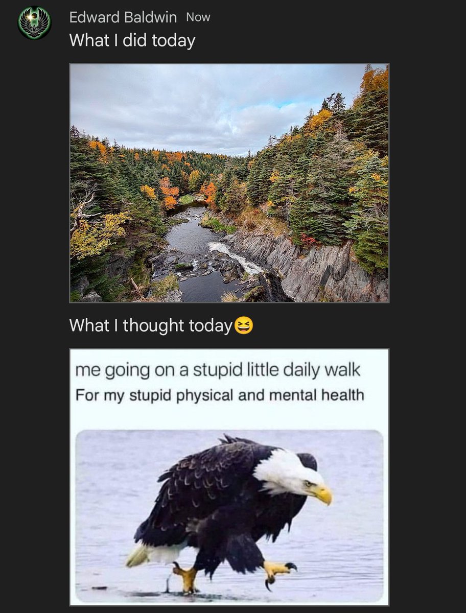 Edward Baldwin ☕🖖🇨🇦 tweet media