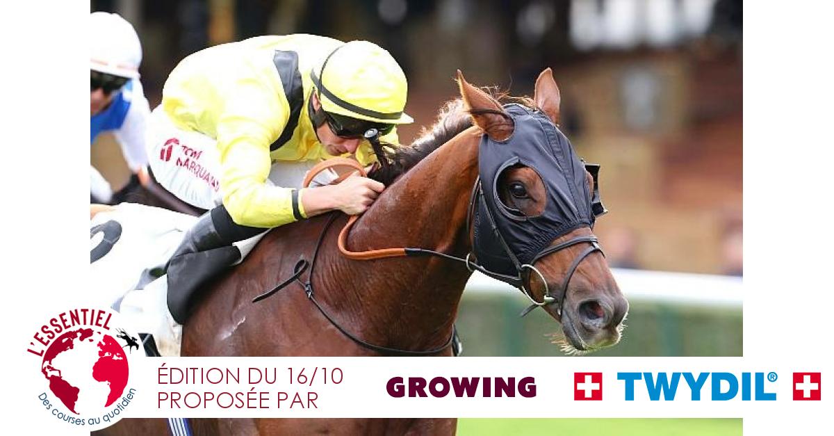 francesire's tweet photo. À @paris_longchamp, #Addeybb est sorti par la grande porte en sadjugeant le Prix du Conseil de Paris (Gr.2). En Italie, #Sisfahan a renoué avec le succès dans le Gran Premio Jockey Club (Gr.2). #Twydil
https://t.co/pDXvKU7fZ5 https://t.co/Y7W7hagiNJ