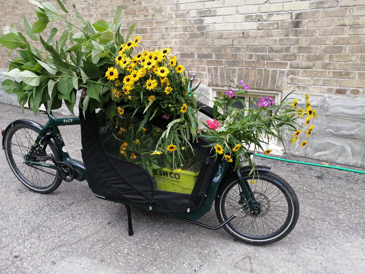 Scott Weldon tweet media