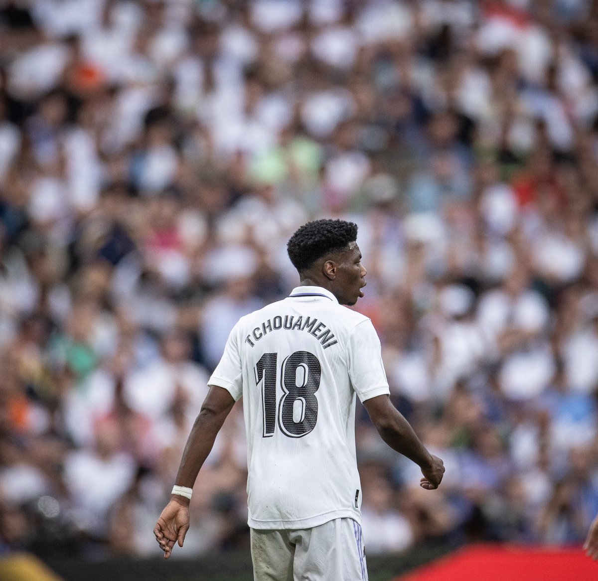 atchouameni's tweet image. Somos el REAL MADRID ! 🤍👑