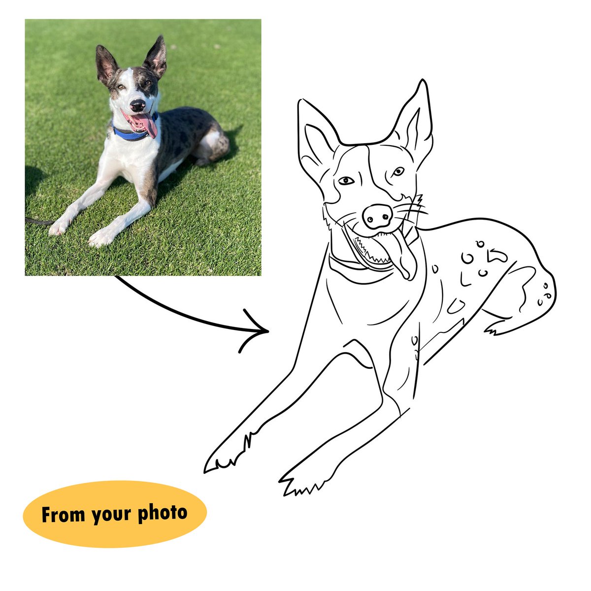 yassine_akermi's tweet photo. Bad portrait cat and dog, custom pet line art, custom bad portrait, custom cute portrait, dog mom gift, gifts for her, personalised gift
 #art #bad #Custom #mom #gifts #cute #dog #Portrait #PortraitCat #pet #line #gift #KlertonArt #EtsySeller

👉https://t.co/XczxRgReqL https://t.co/vfCjSubTe7