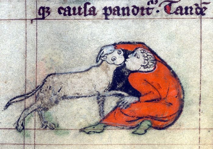 average cat owner, england, 13th century