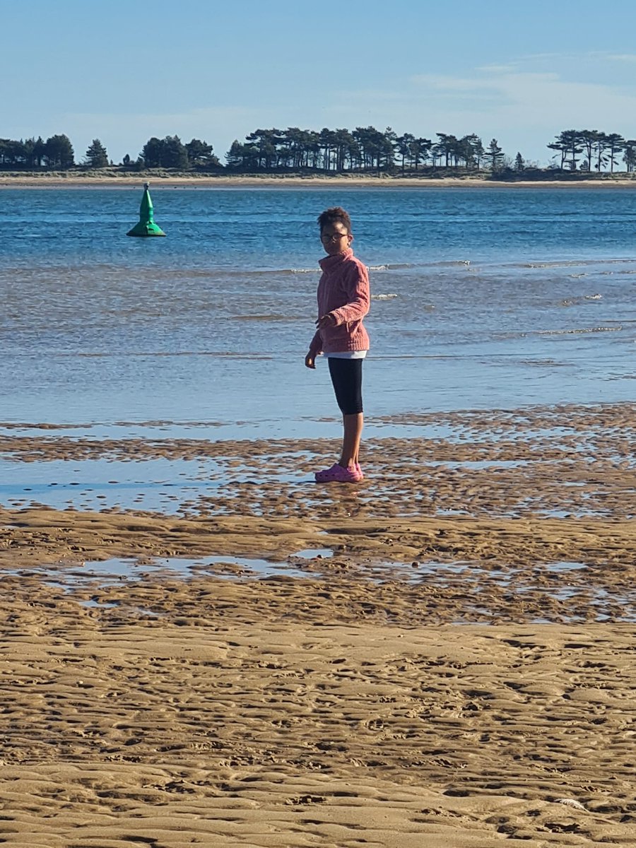 scallio72's tweet photo. Cracking day #wellsnextsea my blue loving his time on the beach😃 https://t.co/2Nx0iJmTdE