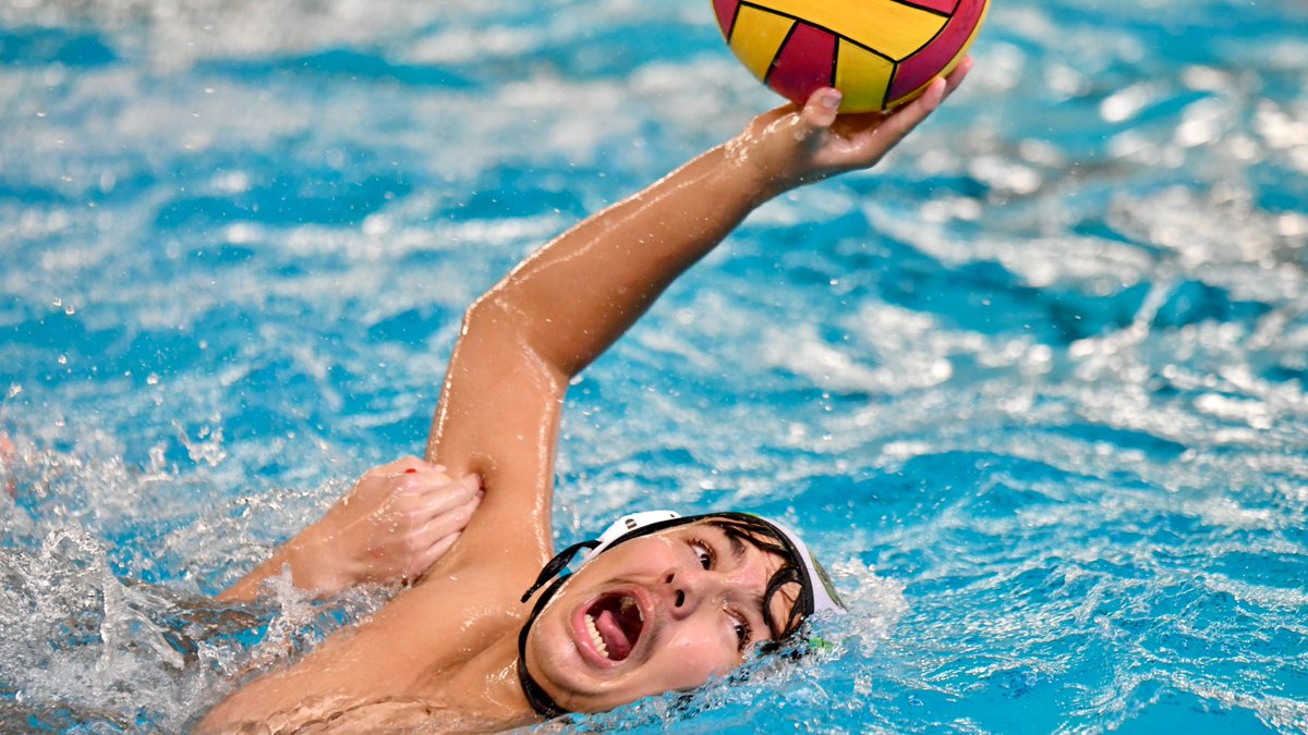 H2OPoloPhoto tweet media