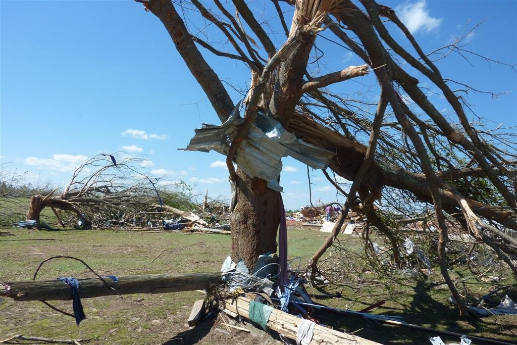 Ef5 Tree 53. Softwood Trees: EF5 (>200 mph) 54. Unknown: EF5 (>200 mph) 55 ...