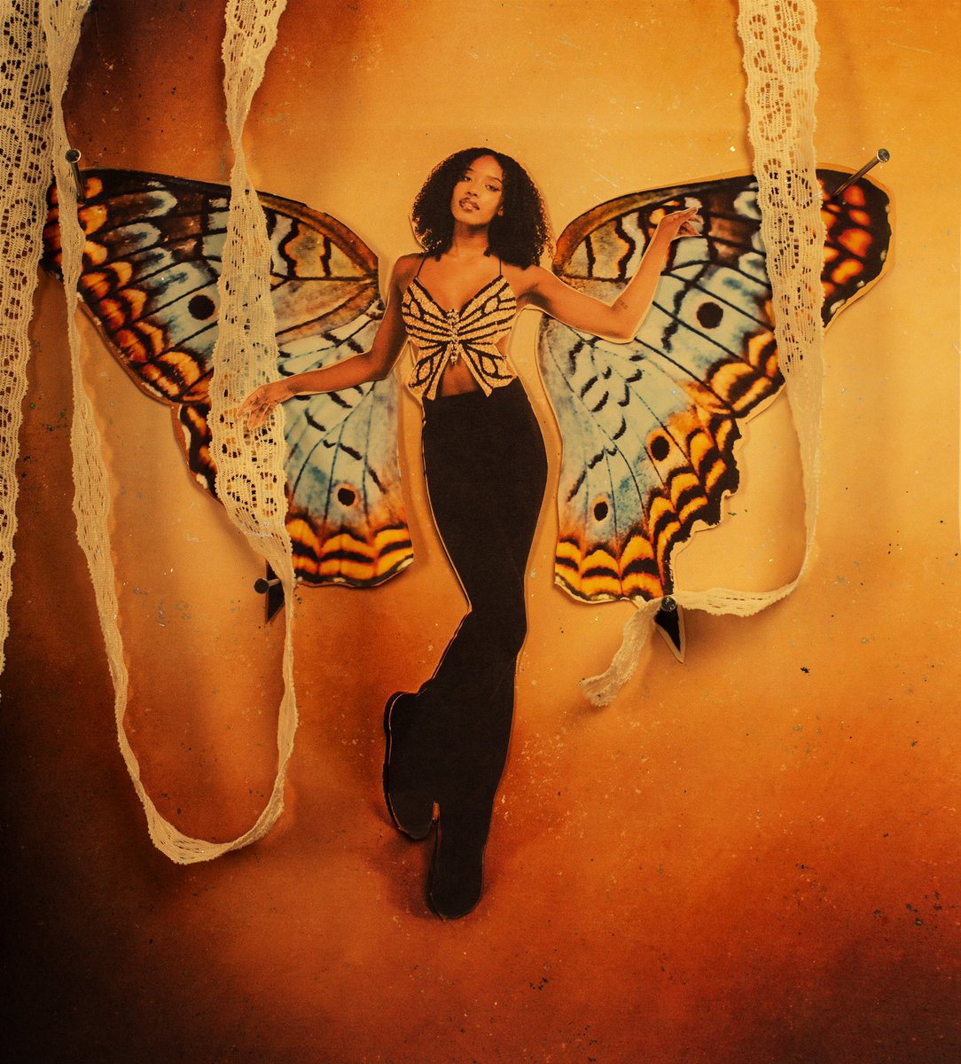 lindseyruthbb's tweet photo. butterfly studies https://t.co/GS8UF3hBEF