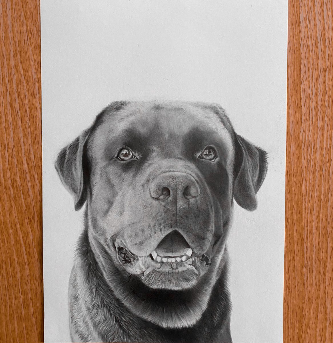 nataliia_25's tweet photo. Com a aproximação do natal, surgem também as dúvidas acerca das prendas. Podes optar por oferecer algo único e personalizado como um retrato realista ou um quadro. Garanto que não haverão prendas iguais 🤭

Encomenda com antecedência, +info IG @natalia.ilustracoes

Partilhem 🤍 https://t.co/x2GlkSoGLp