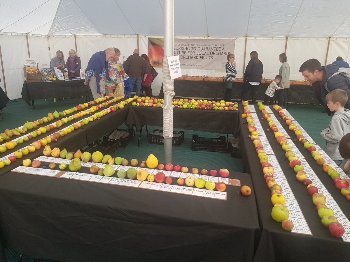 alexbegg_'s tweet photo. Good day at @GressenhallFW for #AppleDay - talking about @WendlingBeck, seeing some amazing craft in action, learning and obviously, sampling 🍏🍎 https://t.co/1H2pcD3Nzr