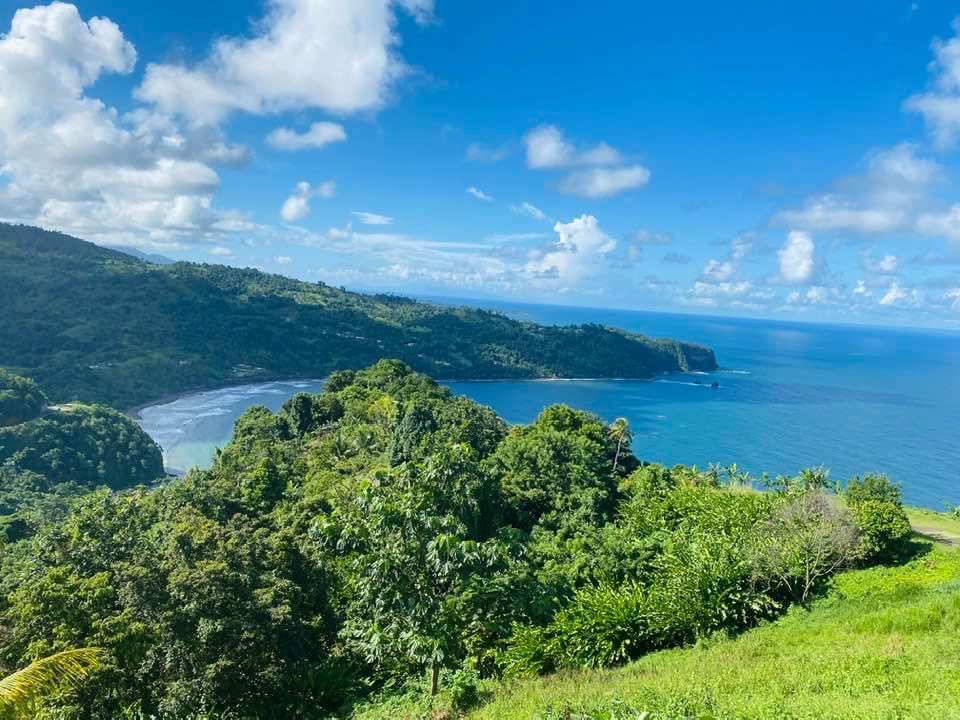 767Beauty's tweet photo. Views that remedy the soul. 
#ILoveItHere🇩🇲❤️ https://t.co/4Mh9EyYpAs